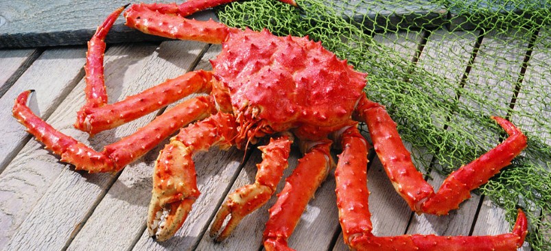 Морепродукт